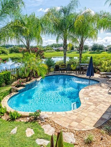 A beautiful backyard swimming pool in Florida.